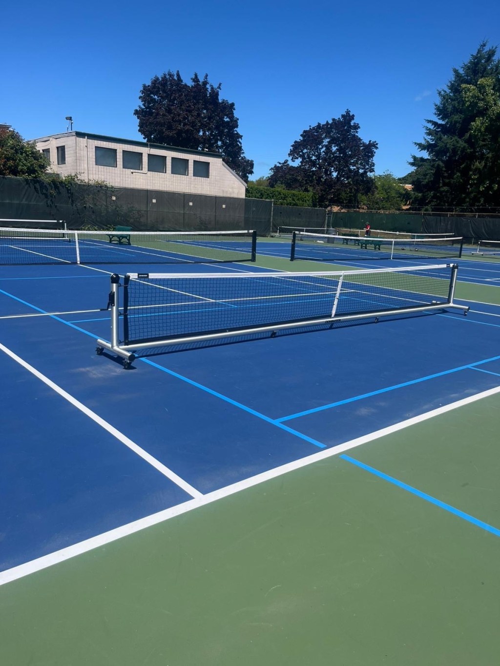 There are No Stupid&nbsp;Questions