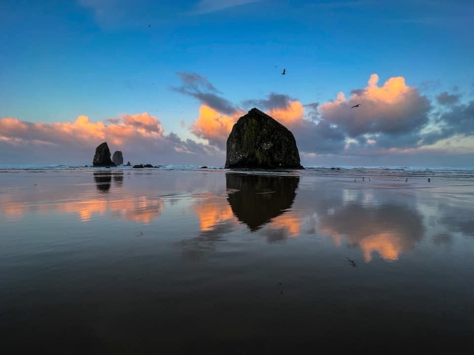 Do You Walk To Work or Carry Your&nbsp;Lunch