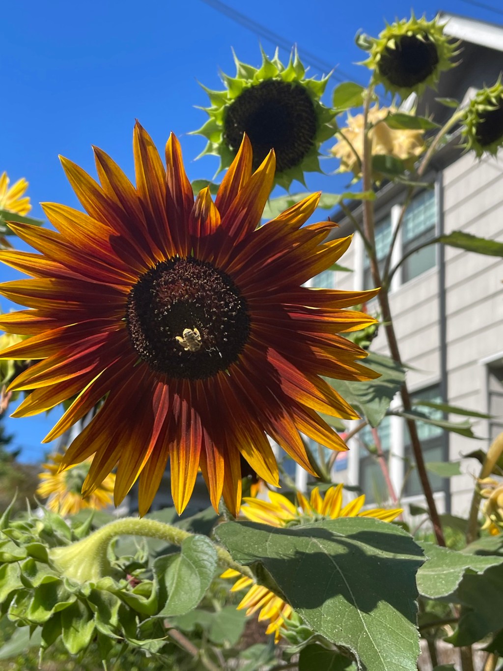 We Built This&nbsp;City