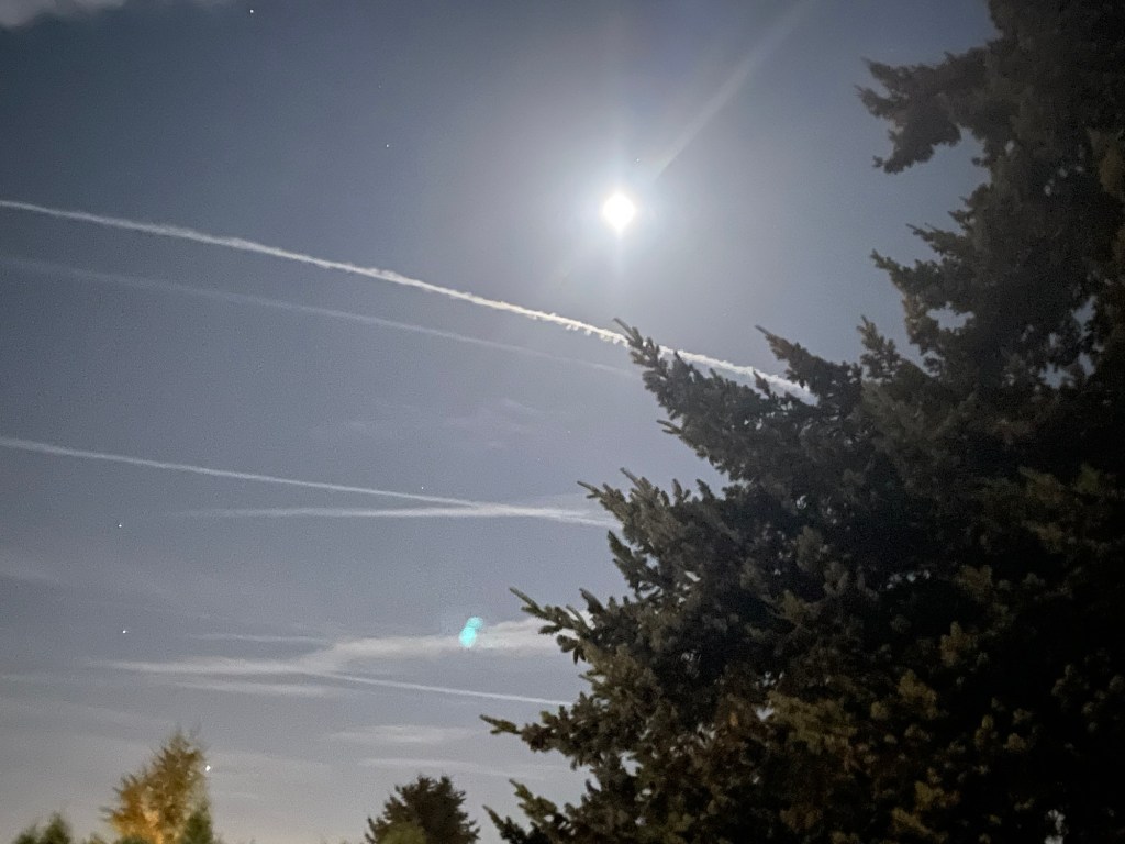 There is No Vaccine for This