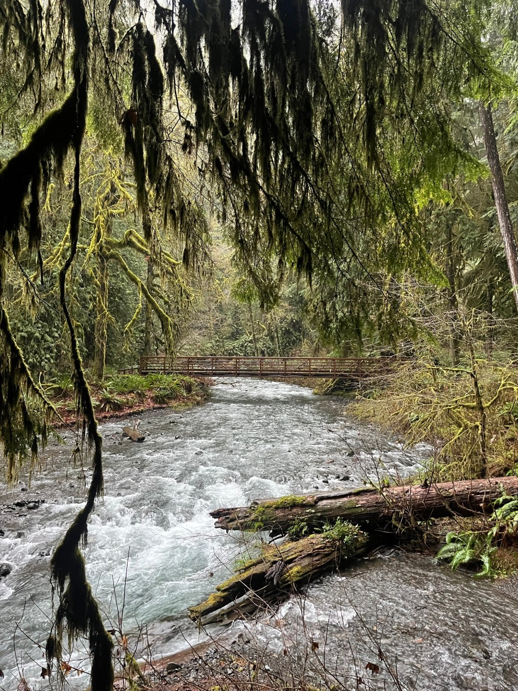 Side Trip to&nbsp;Canada