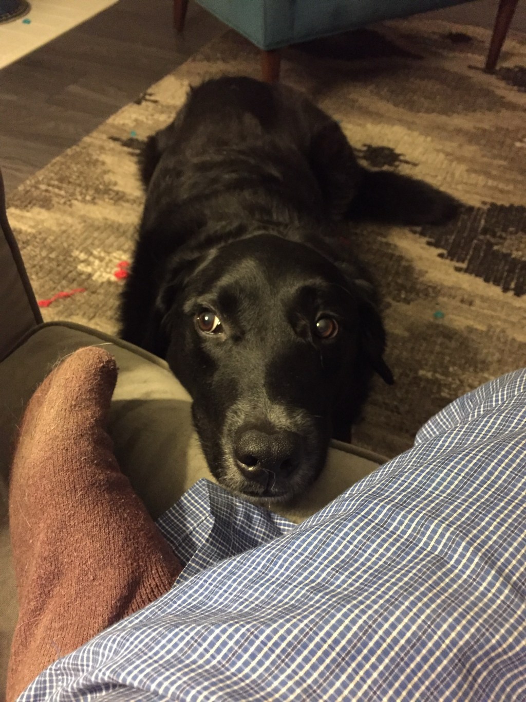 Ghosts of The&nbsp;Morning