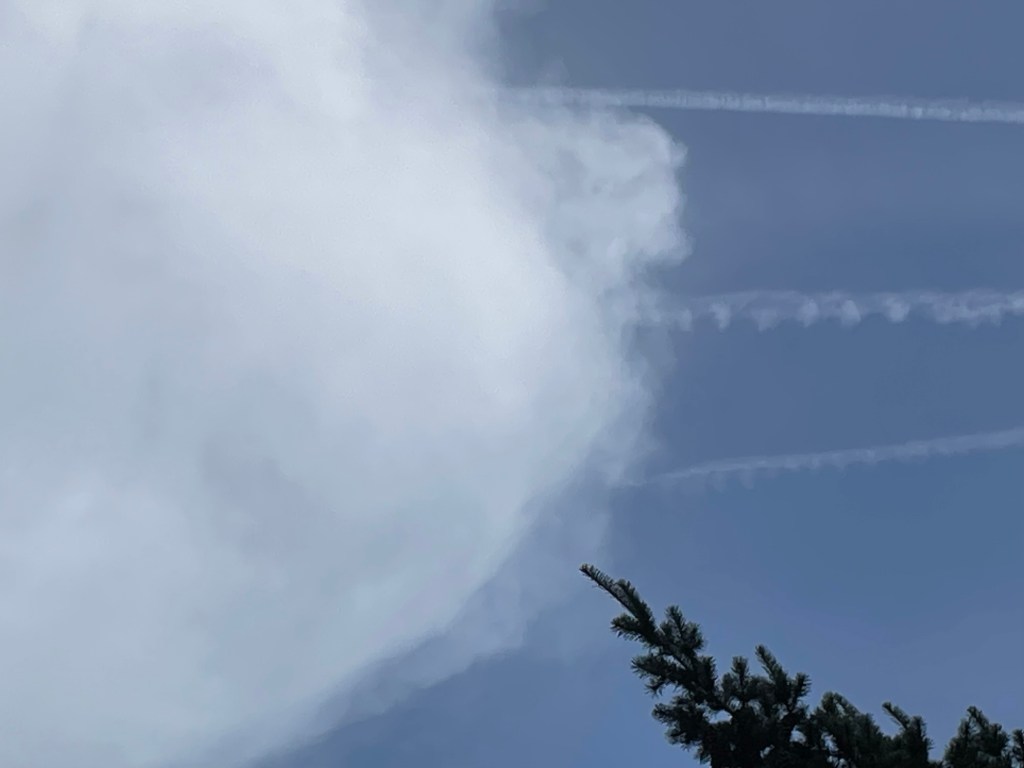 Things happening in my&nbsp;Pants