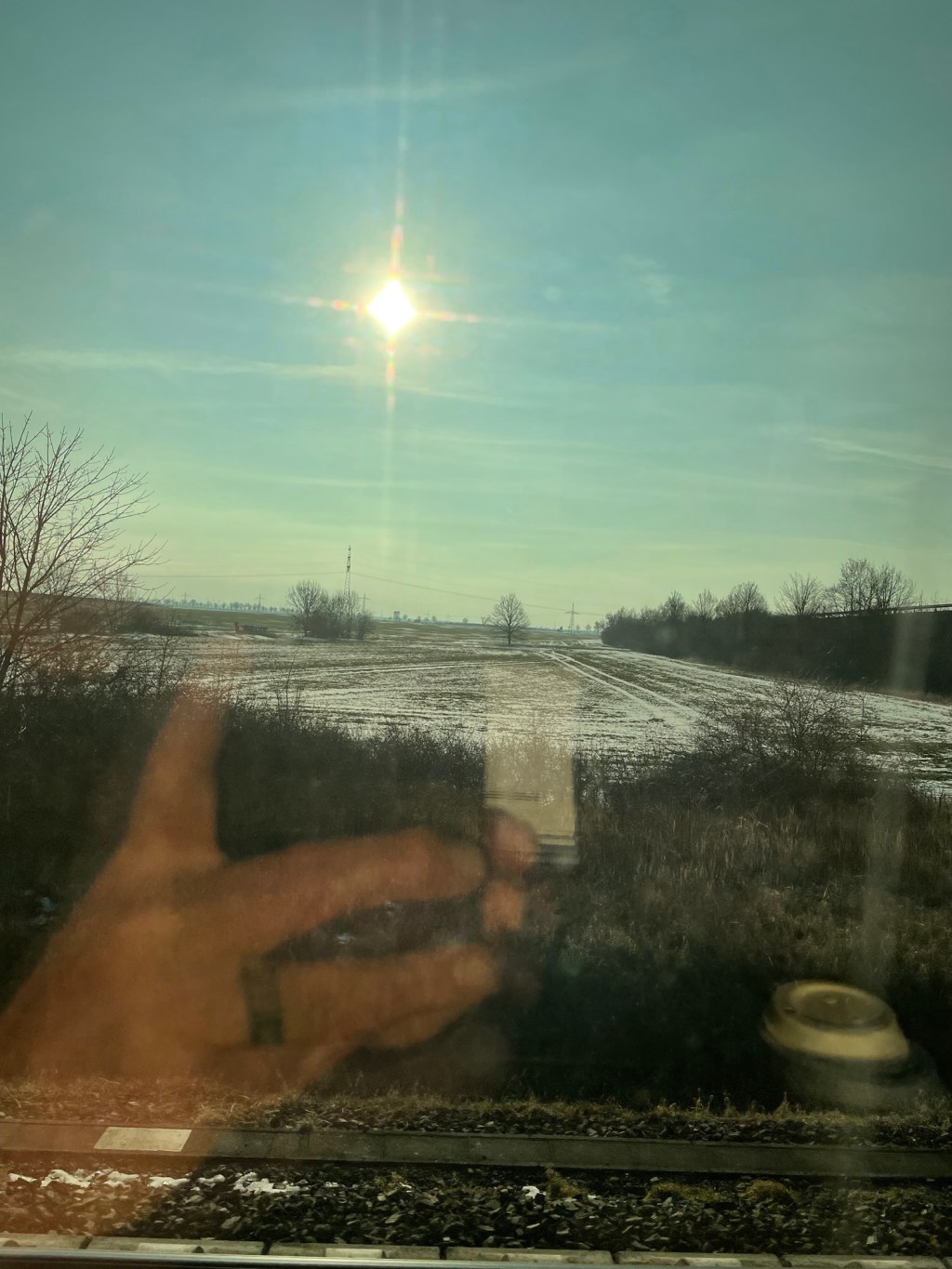 Ponzi Schemes and&nbsp;Lebensmittel