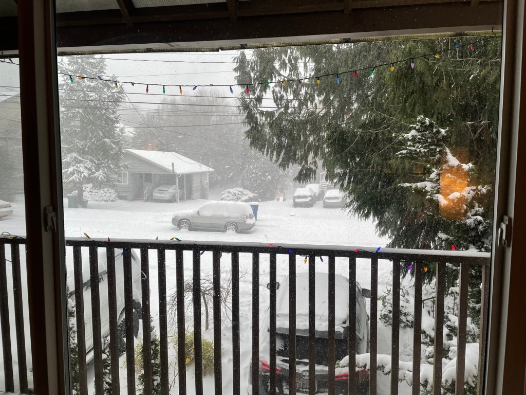 No Picnic In The&nbsp;Park