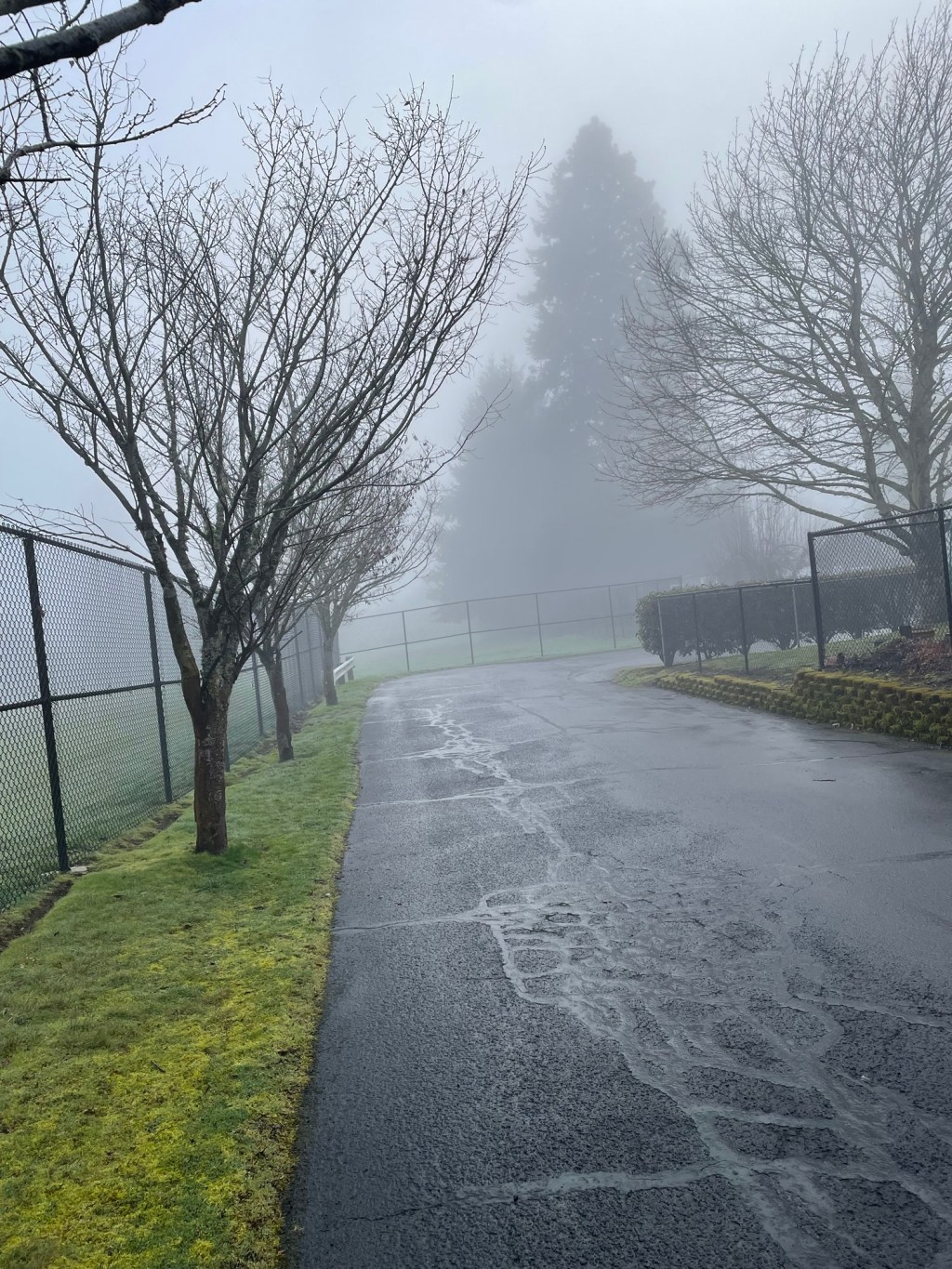 Cognitive Dissonance