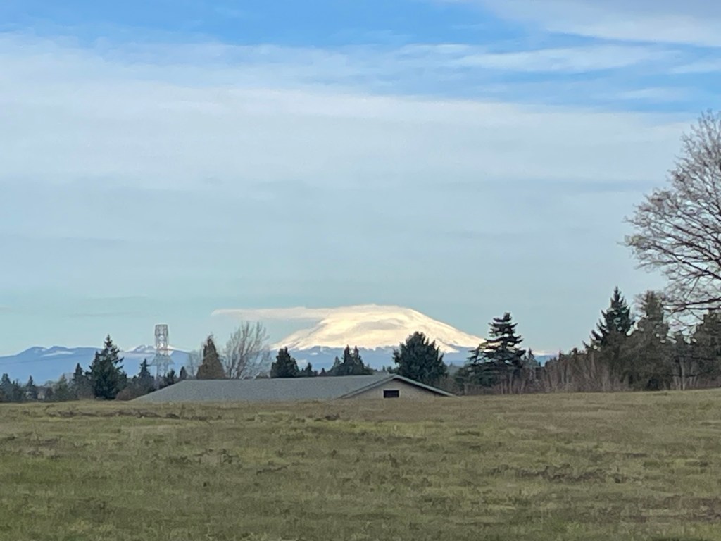 Maybe Not The Most Ambitious