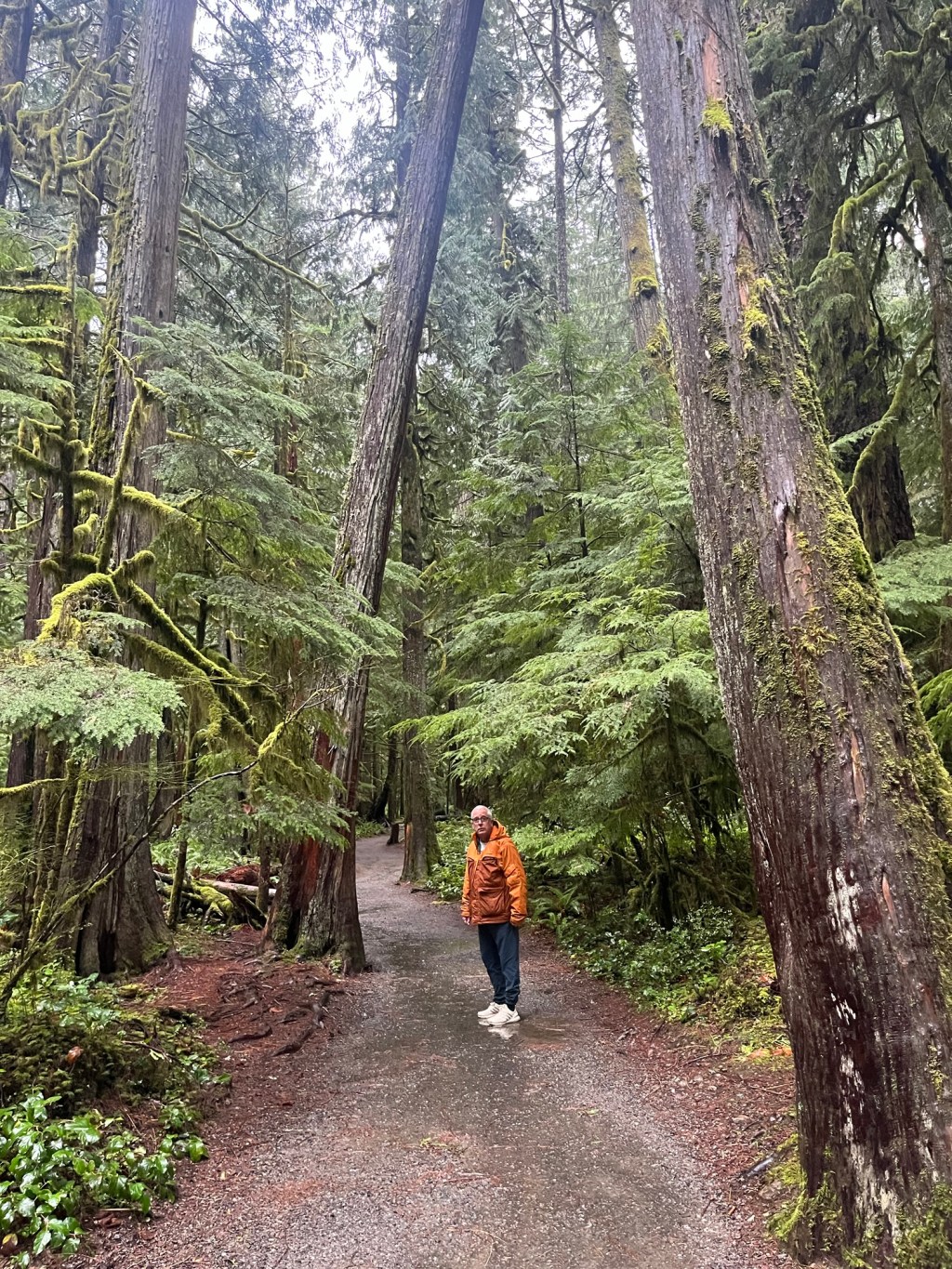 Poem Found While&nbsp;Running