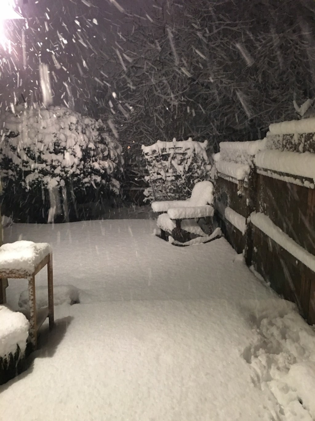 SnowGlobe