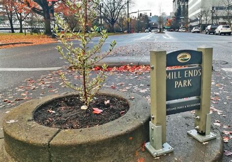 I Ran PDX Today